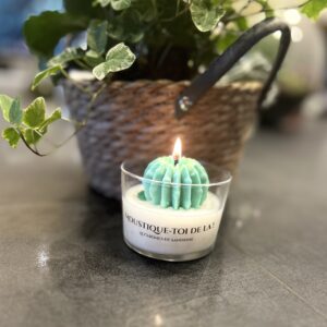 Bougie artisanale à la citronnelle de couleur blanche et verte allumée, posée sur une table devant un pot de plante verte.